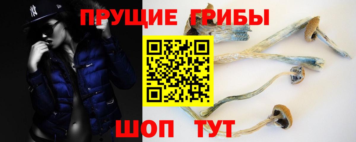Красноярск  Псилоцибиновые грибы прущие грибы  Вход с VPN 